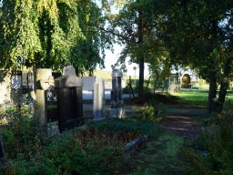 Historischer Friedhof