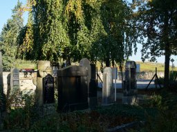 Historischer Friedhof