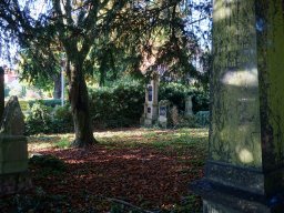 Historischer Friedhof